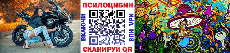 Псилоцибиновые грибы ЛСД  дарнет шоп  Новосиль 