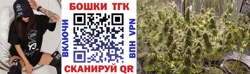 МЕГА онион  Новосиль  Бошки марихуана семена  магазин продажи  